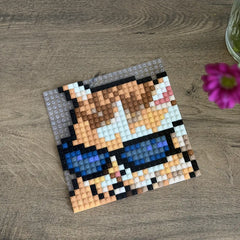 Meme Cat - Buildable Brick Art